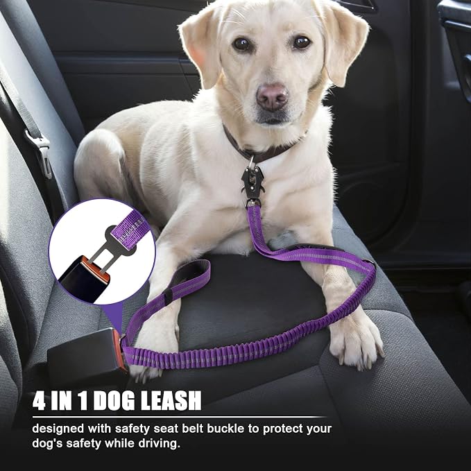 Raipult Tactical Shock Absorbing Bungee Dog Leash Heavy Duty, 4-6ft, Purple | for Large Dogs That Pull, Quick-Release Frog Clip, Dual Handles for Close Control, Car Seat Belt Clip, Reflective at Night - Image 5