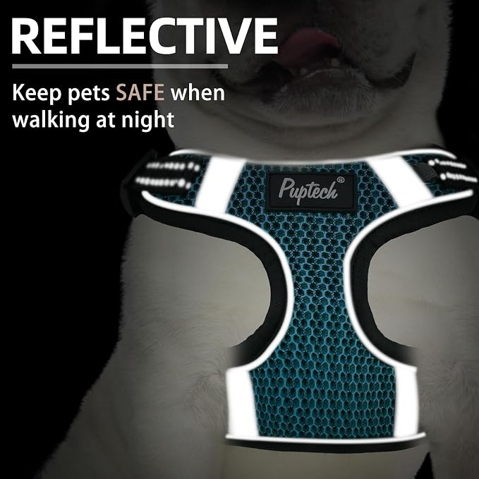 PUPTECK Dog Harness and Leash Set Medium Sized, Step in No Pull Adjustable Puppy Cat Harness Reflective Pet Vest - Image 4