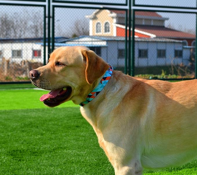 Mihqy Dog Collar for Large Dogs, Fashion Design, Geometry,L | Neck Fit 14.9"-24.8", Multiple Patterns，4 Sizes for Small Medium Large Dogs, Comfortable for Walks and Outdoor Hikes - Image 6
