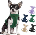 Wisedog No Pull Dog Harness, Pine Green, Small | Lightweight, Adjustable Breathable Pet Vest, Soft & Comfortable Cushion, Small Medium Large Dogs by WisedogPetSupplies