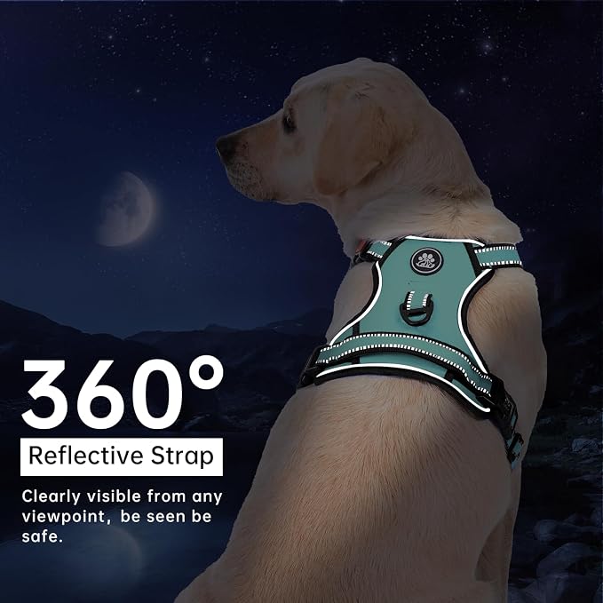 IVY&LANE No Pull Dog Harness with Leash Set, Reflective No Choke Pet Vest,Adjustable Oxford Dog Vest Harness with Easy Control Handle for Small Dogs (Turquoise,S) - Image 6