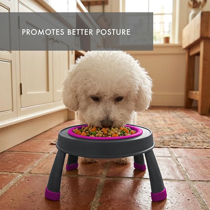 Dexas Pets Elevated Pet Feeder, Small, 1.5 Cup Capacity, Fuchsia, Raised Pet Food and Water Bowl - Image 6