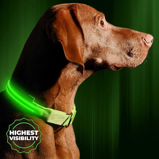 ILLUMISEEN LED Dog Collar USB Rechargeable - Bright & High Visibility Lighted Glow Collar for Pet Night Walking - Weatherproof, in 6 Colors & 6 Sizes (Green XX-Small) by Illumiseen