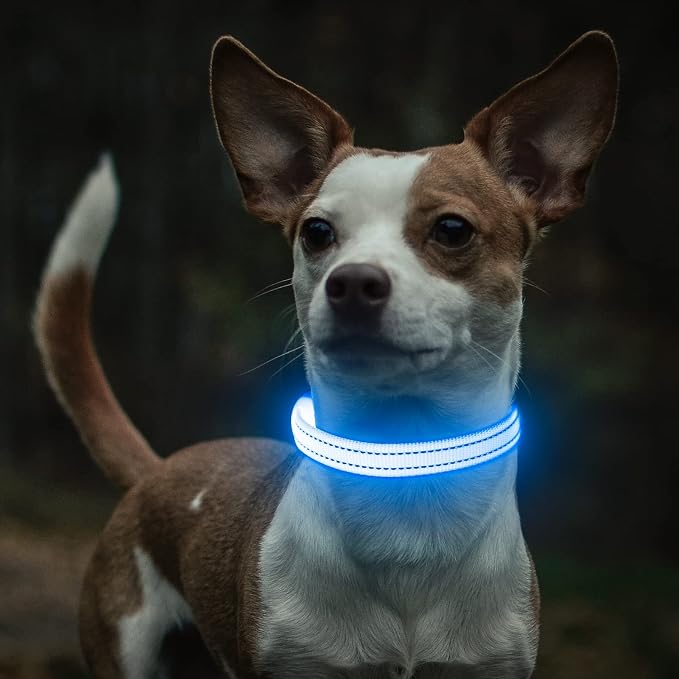Light Up Dog Collar for Small Dogs, LED Dog Collar Rechargeable Safety Dog Lights, Fully Adjustable Glow in The Dark Dog Collar Light for Night Walking & Camping (X-Small, Blue) - Image 7