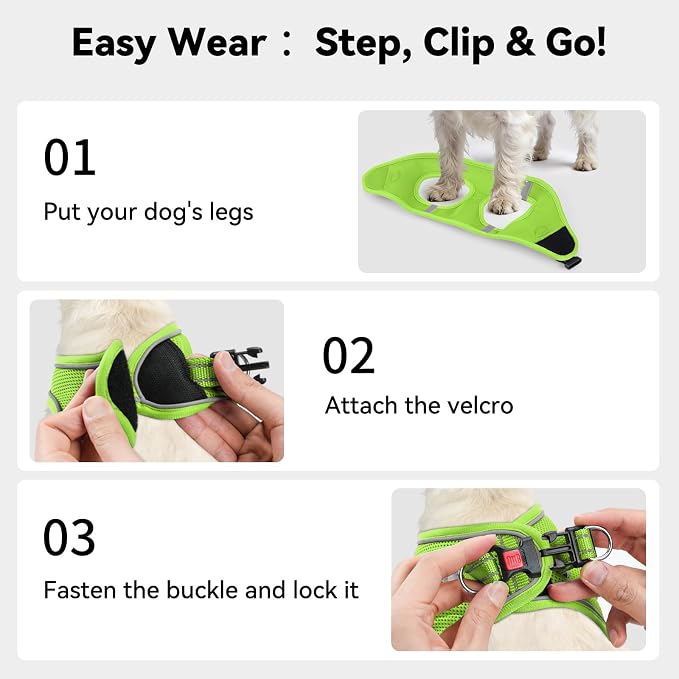 Joytale Step-in Dog Harness, Soft Breathable Mesh, Green L | Adjustable Fit for Small Dogs, Easy Step-in with Secure Fastener, Even Chest Pressure, Reflective For Night Safety, Washable - Image 3
