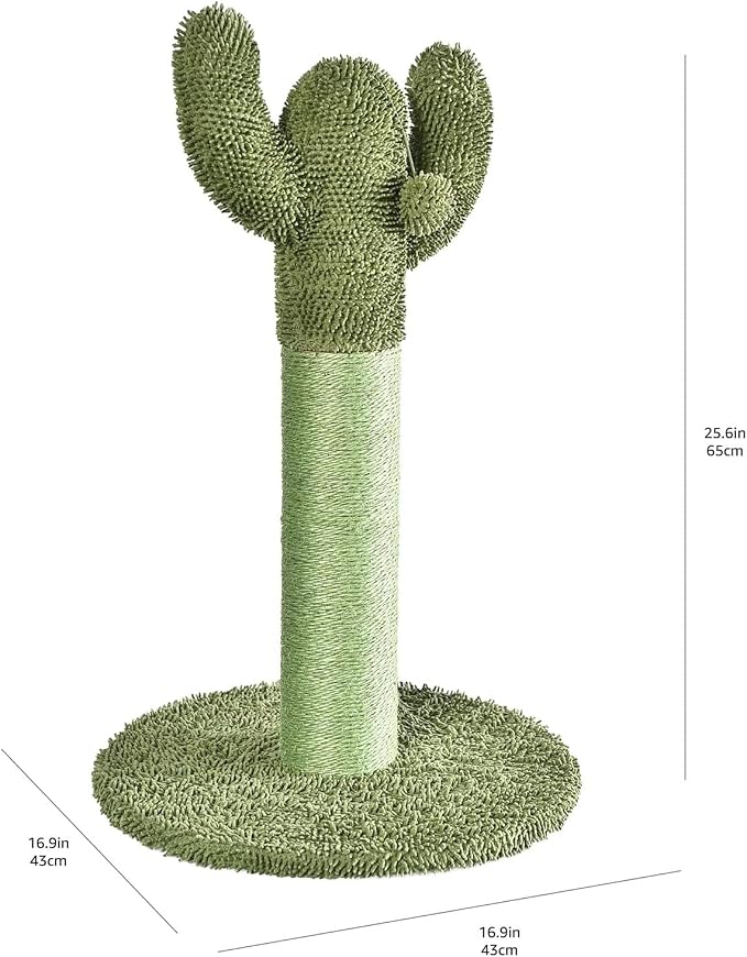 Amazon Basics Cat Scratching Post, Indoor Cactus with Natural Sisal for Kittens with Dangling Ball Toy, Medium, 25.6"H, Green - Image 5