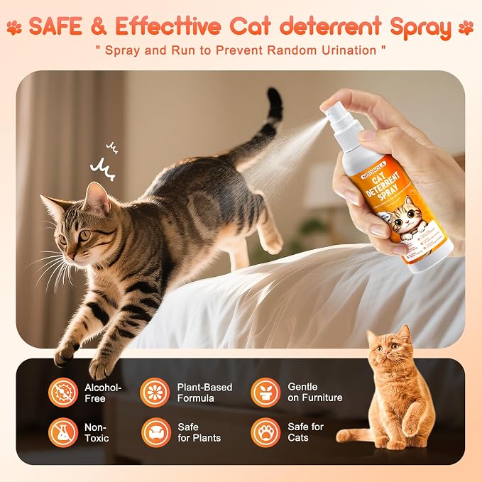 Natural Cat Scratch Deterrent Spray Anti Scratches Indoor & Outdoor, 100ml | Cat Repellent Spray For Furniture With Plant-Based Citrus Formula- Safe Cat Scratch Furniture Protector For Sofa, Carpet - Image 7