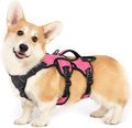 rabbitgoo Escape Proof Dog Harness for Small, No Pull with Lift Handle | No Escape, Full Soft Padded, Reflective Adjustable Vest, Leash Clip for Walking Hiking Training, Peach Pink, Small by rabbitgoo