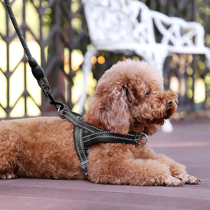 Plutus Pet No Pull Dog Harness for Small Dogs, Breathable Mesh Padded | Adjustable Reflective with Handle, Escape Proof, Quick Fit Pet Vest, Front Clip, for Training and Walking, Black, S - Image 5