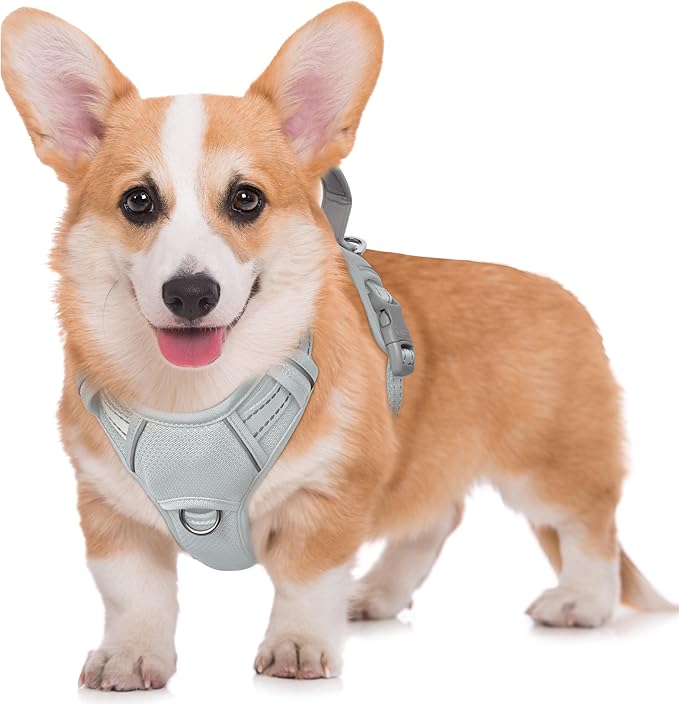 BARKBAY No Pull Dog Harness Large Reflective Dog Harness with Front Clip and Easy Control Handle for Walking Training Running with ID tag Pocket(Grey,M) by BARKBAY