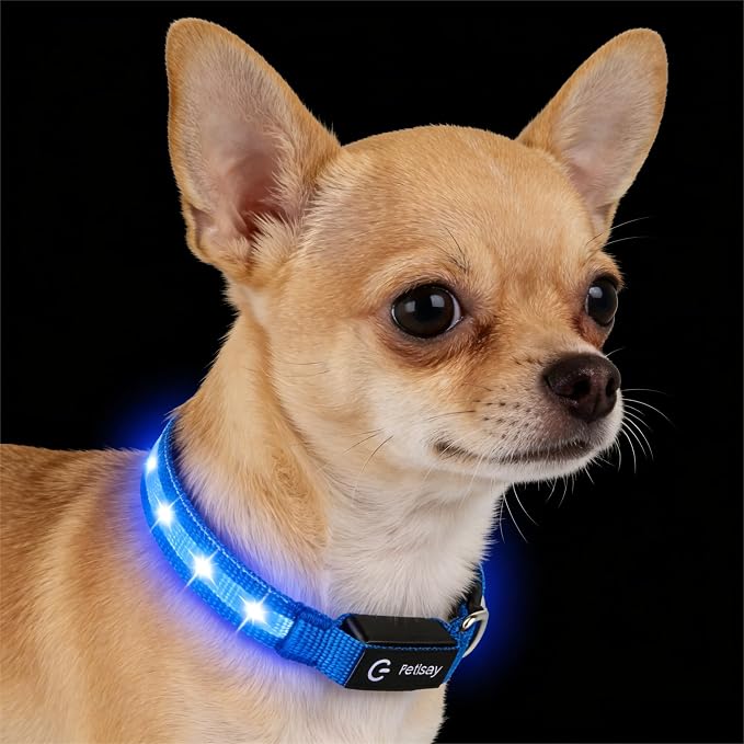 Super Bright LED Dog Collar, Waterproof Light up Collars(Blue, X-Small) | Lighted Dog Collar with Adjustable Fit, Soft Nylon Comfort, USB-C Rechargeable, Glow in the Dark Visibility for Night Walks by PetIsay