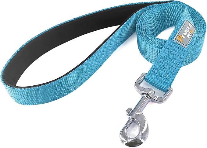 6 FT Reflective Dog Leash for Large Dogs,Sky Blue | Padded Handle,Metal D-Ring,Heavy Duty Nylon Webbing, for Walking & Training - Image 3