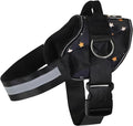 Joyride Basic Dog Harness 1.0 | Fall Stars | 2XL | Adjustable pet vest with 3 side leash rings for training, walking and improved control for small, medium or large dogs by JoyrideHarness