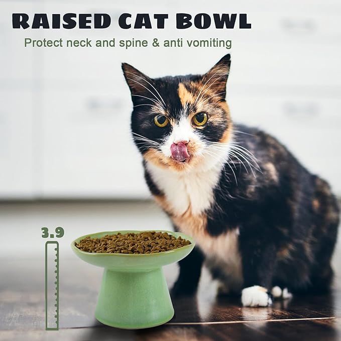 Wide Shallow 6.1" Raised Cat Bowls, Ceramic Elevated Food Bowl for Flat Faced Cats and Small Dogs, Porcelain Feeder Bowl, Stress Free, Protect Cat’s Spine, Green - Image 5