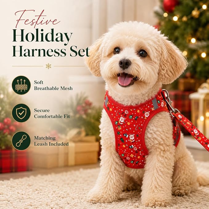 Step in Christmas Xmas Day Dog Harness Leash Set- All Weather Reflective No-Pull Floral Pattern Padded Mesh Vest Harness for Cats Puppy Extra-Small Small Medium Large Dogs - XS - Image 5