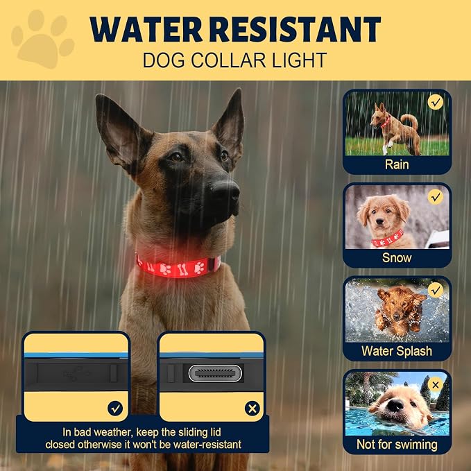 Light Up Dog Collars Adjustable & Rechargeable LED Dog Collars for Night Safety Walk Glowing Collar for Dog, Red - Image 5