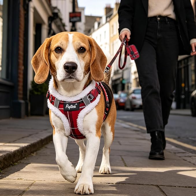 PUPTECK Dog Harness and Leash Set Small Sized, Step in No Pull Adjustable Puppy Cat Harness Reflective Pet Vest - Image 7