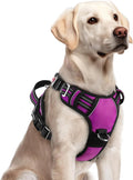 rabbitgoo Dog Harness for Large, No Pull 3 Buckles Easy On & Off | Soft Padded, Walking with Control Handle, Adjustable and Reflective, Purple, Large by rabbitgoo