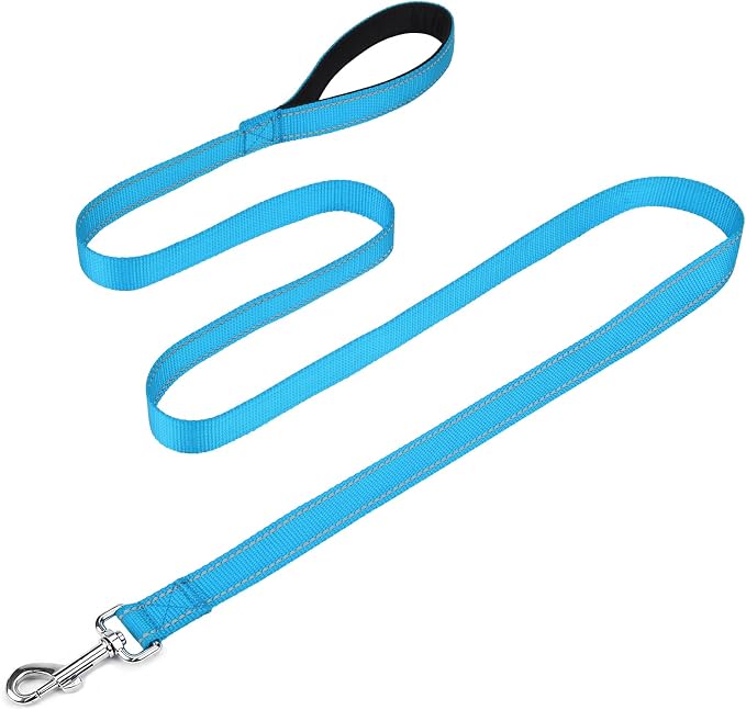 FunTags Reflective Nylon Dog Leash for Medium & Large Dogs, 6FT for Walks | Comfortable Padded Grip, Stay Safe at Night, 360° Anti-Tangle Swivel, for Dog Parks & Trails, Sky Blue by FUNSTARTSHERE
