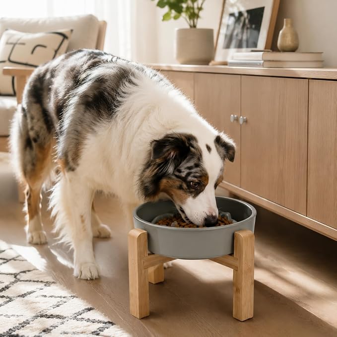 Elevated Ceramic Slow Feeder Dog Bowls Anti-Choking Slow Feeding for Medium& Large Anti-Slip Non-Lead & Toxic Durable Easy to Clean Maze Slow Feeder Bowl（8.66in Gray Stars Pattern） - Image 6