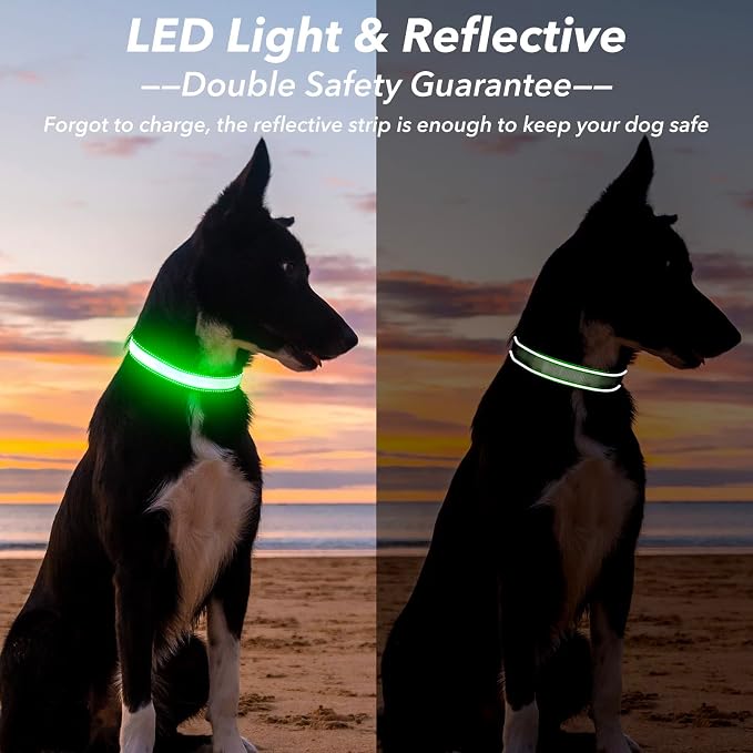 Visinite Light Up Dog Collar, Reflective LED Dog Collar, Adjustable Lighted Dog Collars Rechargeable Waterproof, Bright Dog Glow Collar for Pet Safety at Night Walking, Fit Large Medium Dogs - Image 2