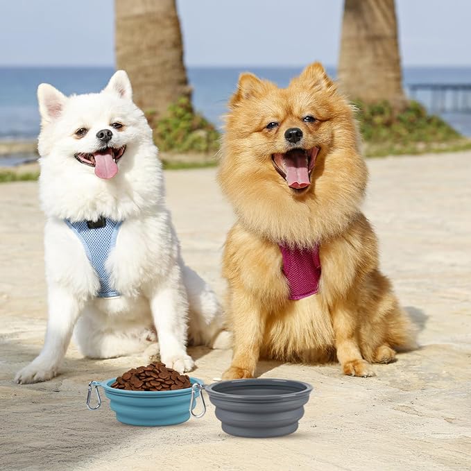 Kytely Collapsible Dog Bowls for Travel, 2Pack Dog Portable Water Bowl, Foldable Pet Food Bowl with Clasp, Pet Cat Feeding Cup Dish for Traveling, Walking, Hiking - Image 3