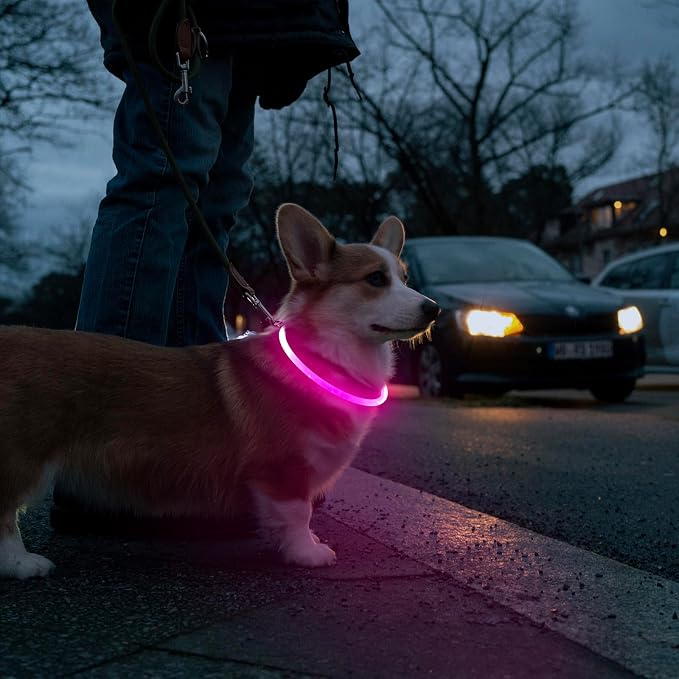 HIGO LED Dog Collar, USB Rechargeable Light Up Dog Collars Glow in the Dark, Waterproof LED Dog Necklace for Your Dogs Walking at Night (Pink) - Image 6