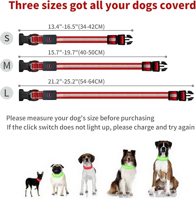 LED Dog Collar Light Up with 2025 Bright Beads & 300mAh Battery, Type-C Rechargeable Waterproof Dog Collar, 3 Flash Mode 15H for Night Safety, Adjustable Nylon Glow Collar for Small Medium Large Dogs - Image 6
