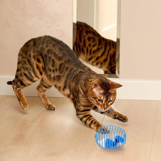 Jecery 5 Pcs Cat Toys Spring,Mouse,Blue White | Interactive Metal Cat Toy, Stretchable Rolling Ball, for Indoor Cats, Colorful Playful Coils, Kitten Pet Supplies - Image 6