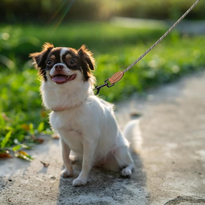 Mile High Life Dog Leash with Genuine Leather-Wrapped Ends, 4/5/6FT | Tangle-Free 360° Swivel Clasp Heavy Duty Rope Leash | Small Medium Large Dogs | Daily Walking (White Beige, 48 Inch, 1/3") - Image 2