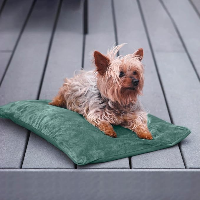 Outdoor Cat Heating Pad, 15.7" x 11.8", 30W, Green | Water-Resistant Bottom, Adjustable Cushion Loft, Auto Temperature Control, Ideal for Feral Cats, Kittens, Small Cat Houses - Image 7