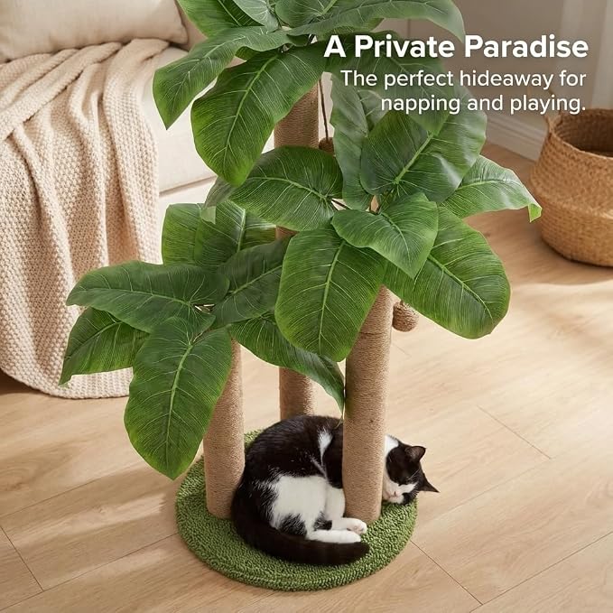 LEMONDA 31.5Inch Cat Scratching Post,Cat Scratcher Tree with 3 Scratching Poles & 2 Interactive Dangling Balls,Cats Scratching Posts for Indoor Kitten & Adult Cats | Cat Scratcher Tree, Cat Scratching Posts,3 Scratching Poles,2 Interactive Dangling Bal... - Image 6