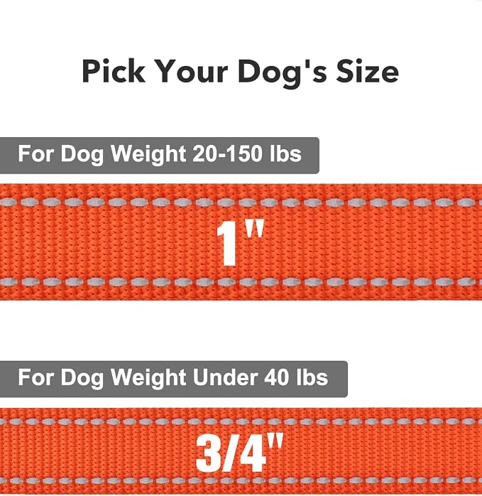 Taglory Reflective Dog Leash for Medium Large Dogs, 1in x 5ft, Orange | Ideal for Night Walking, Strong for Sudden Pulls, Lightweight & Gentle on the Neck, Soft Padded Handle - Image 4