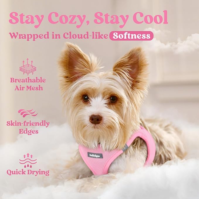 rabbitgoo Step-in Small Dog Harness, Puppy Vest for Small Sized Pet | Easy Put on and off, Lightweight, Soft, Breathable Quick-Dry Air Mesh for Comfortable Secure Walking, Light Pink XXXS - Image 3