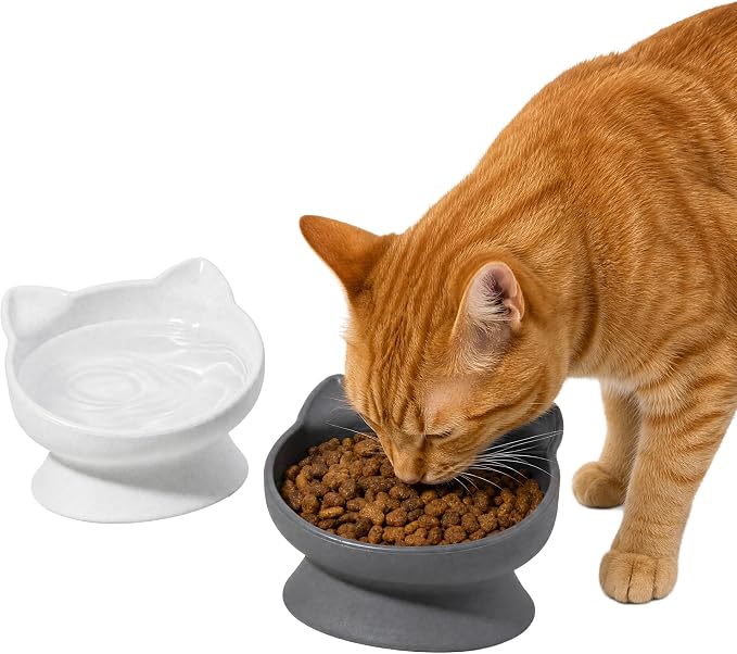 Kitty City Elevated Cat Bowls (Set of 2), Whisker-Friendly Raised Cat Food & Water Dishes, Modern Pedestal Design, Dishwasher Safe, 6.5 oz Each – White & Gray - Image 2