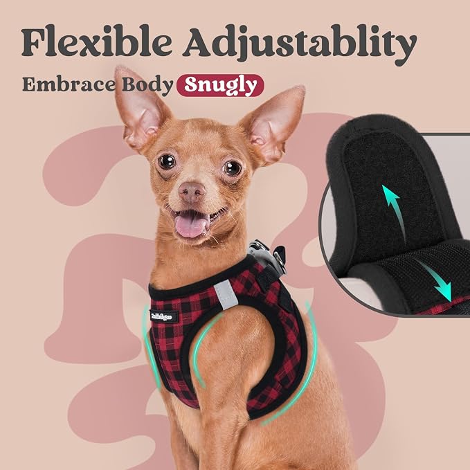 rabbitgoo Step-in Small Dog Harness, Puppy Vest for Small Sized Pet | Easy Put on and off, Lightweight, Soft, Breathable Quick-Dry Air Mesh for Comfortable Secure Walking, Red Check XXS - Image 6