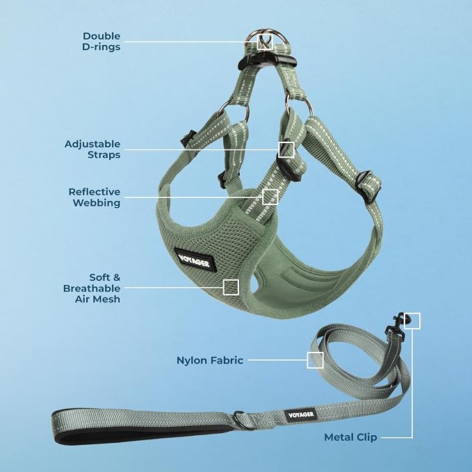 Best Pet Supplies Voyager Adjustable Step-in Flex Breathable Mesh Dog Harness for Small Medium Large Dogs Leash Set (Moss Green), L - Image 3