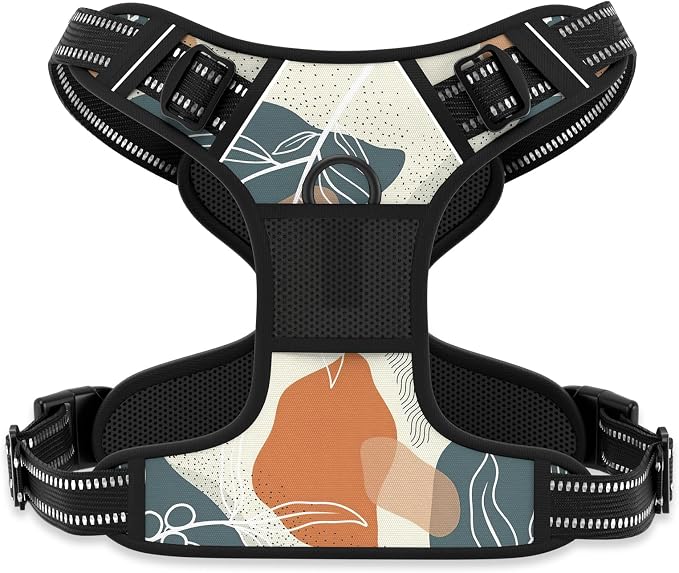 Rnivvi No Pull Dog Harness, Cute Boho Reflective Small Sized Puppy Kitten Harness, Adjustable Soft Padded Vest for Small Dogs, Cats, Heavy Duty Pet Vest with Easy Control Handle for Walking, Leaves by Rnivvi