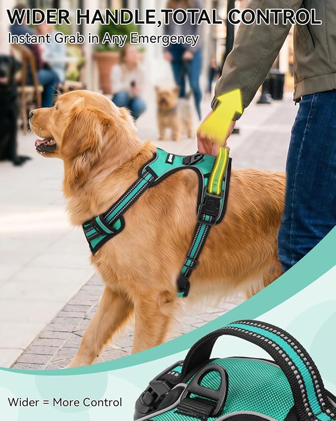 Joytale No Pull Dog Harness & Seat Belt, Easy On 3-Buckle, M, Teal | Front Clip Reduces Pulling, Escape-Resistant Design, Adjustable Fit, Soft Padding for Comfort, Secure Tether for Safer Travel - Image 5