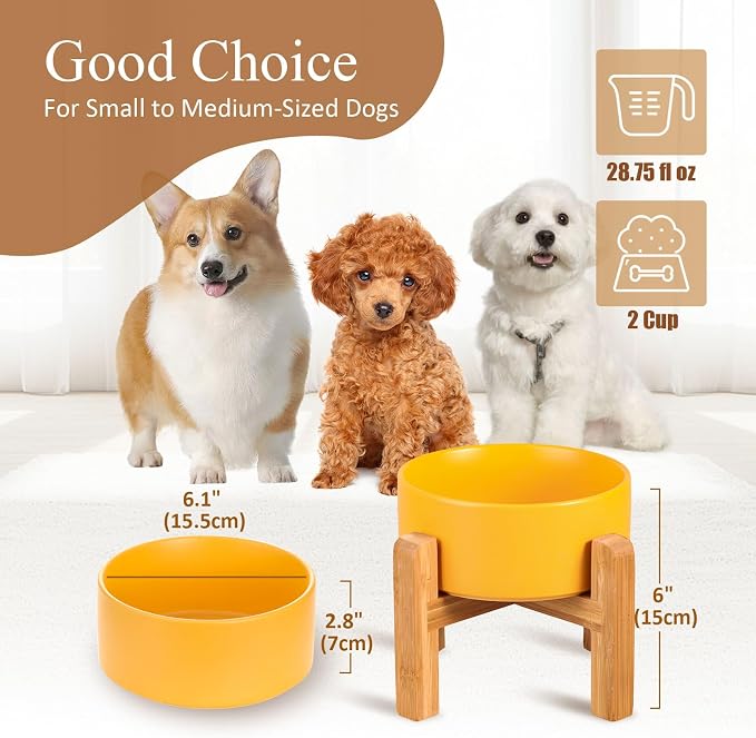 Ceramic Elevated Dog Bowl with Bamboo Stand, for Small & Medium Dog, Yellow - Image 2