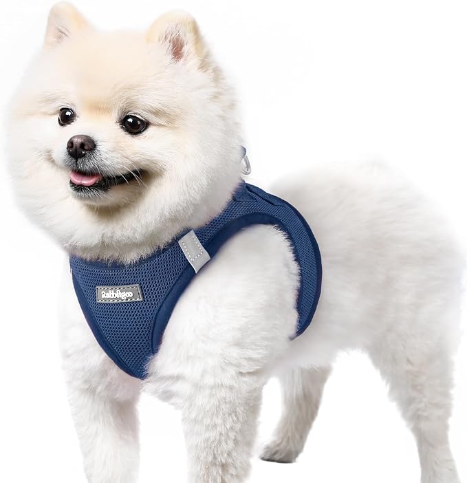 rabbitgoo Step-in Small Dog Harness, Puppy Vest for Small Sized Pet | Easy Put on and off, Lightweight, Soft, Breathable Quick-Dry Air Mesh for Comfortable Secure Walking, Navy Blue S by rabbitgoo