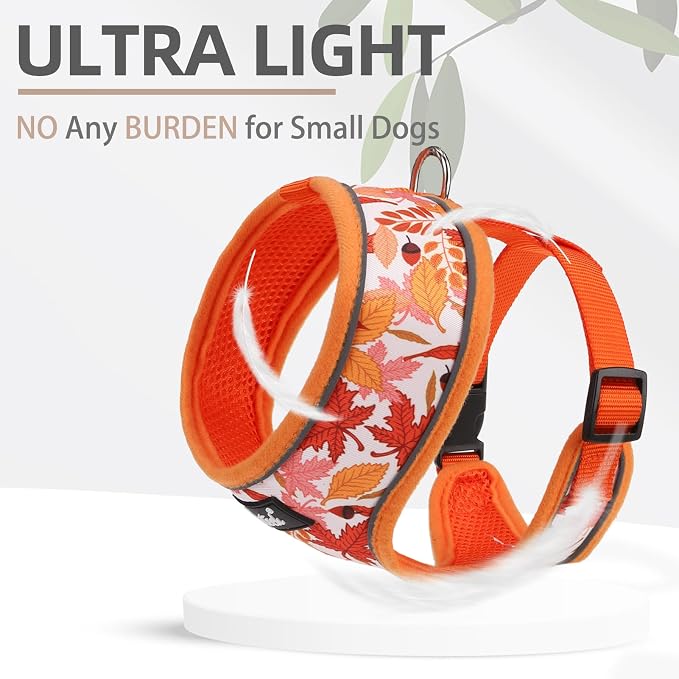 PUPTECK Small Dog Harness and Leash Set No Pull for XS XXS Sized Dogs Puppy | Escape Proof No Choke Pet Cat Adjustable Soft Padded Walking Vest - Image 5