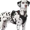 Eagloo Dog Harness No Pull for Large Dogs, Easy On & Off with 3 Buckles | No Choke with Front Clip, Adjustable Fit, MOLLE System, Reflective Vest, Easy Control for Walking, Black, X-Large by GoExplorewithEagloo