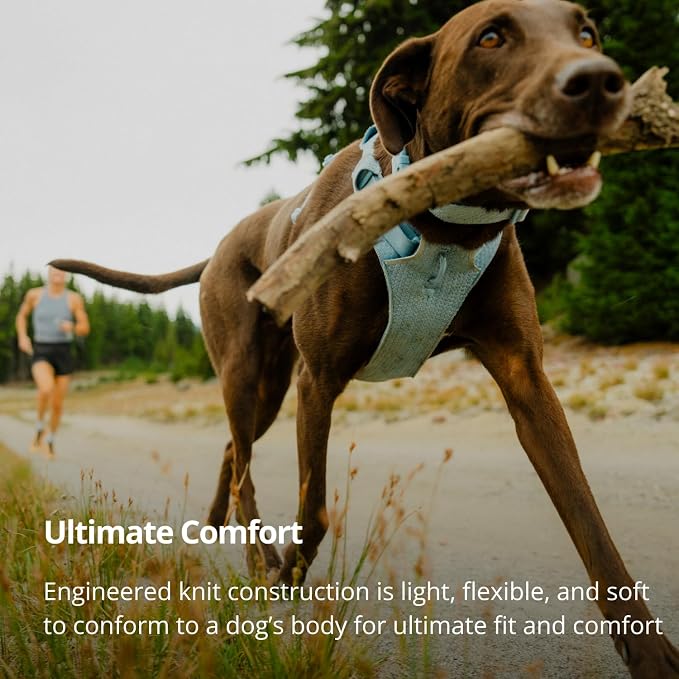 Ruffwear, Front Range Flex Dog Harness, Engineered Knit Construction for Ultimate Fit and Mobility, Lightweight Flexible Everyday Harness with Dual Leash Clips, Polar Blue, X-Small - Image 3