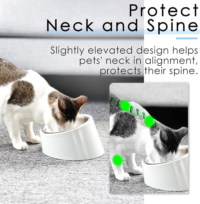 SUPERDESIGN Anti-Vomiting 15° Slanted Pet Bowl S/0.5 Cup White | 15° Tilted, Anti-Vomit & Neck Relief, Non-Slip Base, Detachable Stainless Steel Liner, Dishwasher Safe, for Cats & Dogs - Image 4