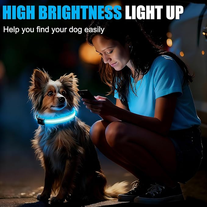 LED Dog Collar Rechargeable, Brightest Light Up Dog Collars, Black L | 1,600 Feet of High Visibility, Magnetic Charging, Glow in Dark Dog, Nylon Materials, Lights for Night Walking - Image 4