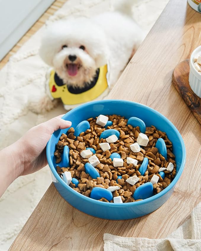 LE TAUCI Dog Bowls Slow Feeder Ceramic, 1.5 Cup Slow Feeding Bowl for Small and Medium Breed, Puzzle Dog Food Bowl for Fast Eater, Vortex Blue - Image 2