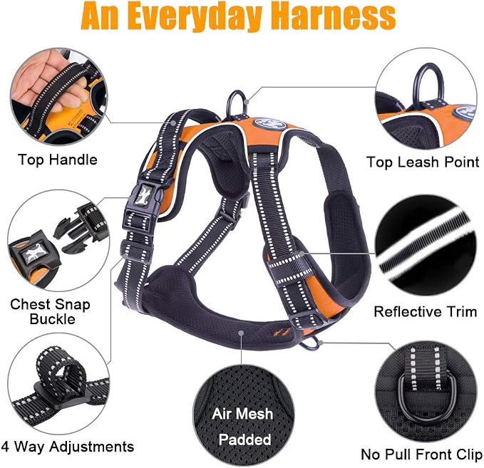 PoyPet No Pull Dog Harness Small, Reflective Vest with Front Clip & Handle | Easy On/Off, No Choke, Adjustable, 2 Leash D-rings, Soft Padded, Breathable, Oxford, for Walking Training, XS, Orange - Image 6