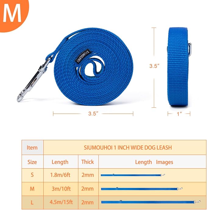 Strong Durable Nylon Dog Training Leash, 1 Inch Wide Traction Rope, 6 ft 10ft 15ft Long, for Small and Medium Dog (Blue, 10 Feet) - Image 2