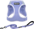 Best Pet Supplies Voyager Step-in Air All Weather Mesh Harness and Reflective Dog 5ft Leash Combo with Neoprene Handle, for Small, Medium and Large Breed Puppies - Lavender, XXS by BestPetSuppliesLLC